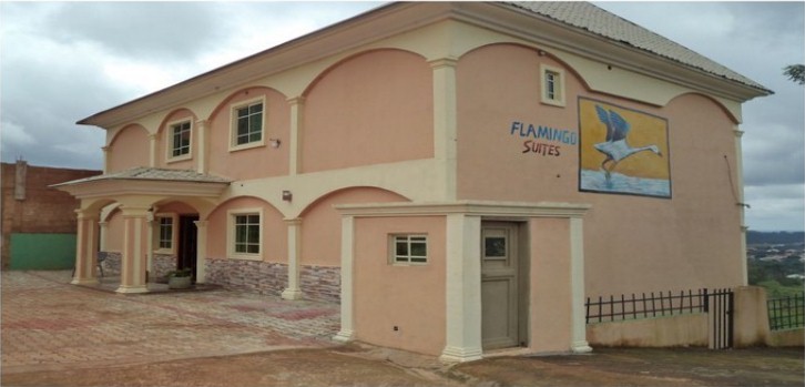 Flamingo - Front viewx
